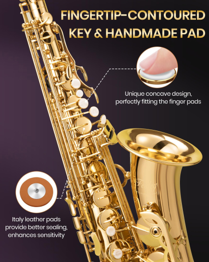 Fesley Saxophone E Flat Alto Saxophone