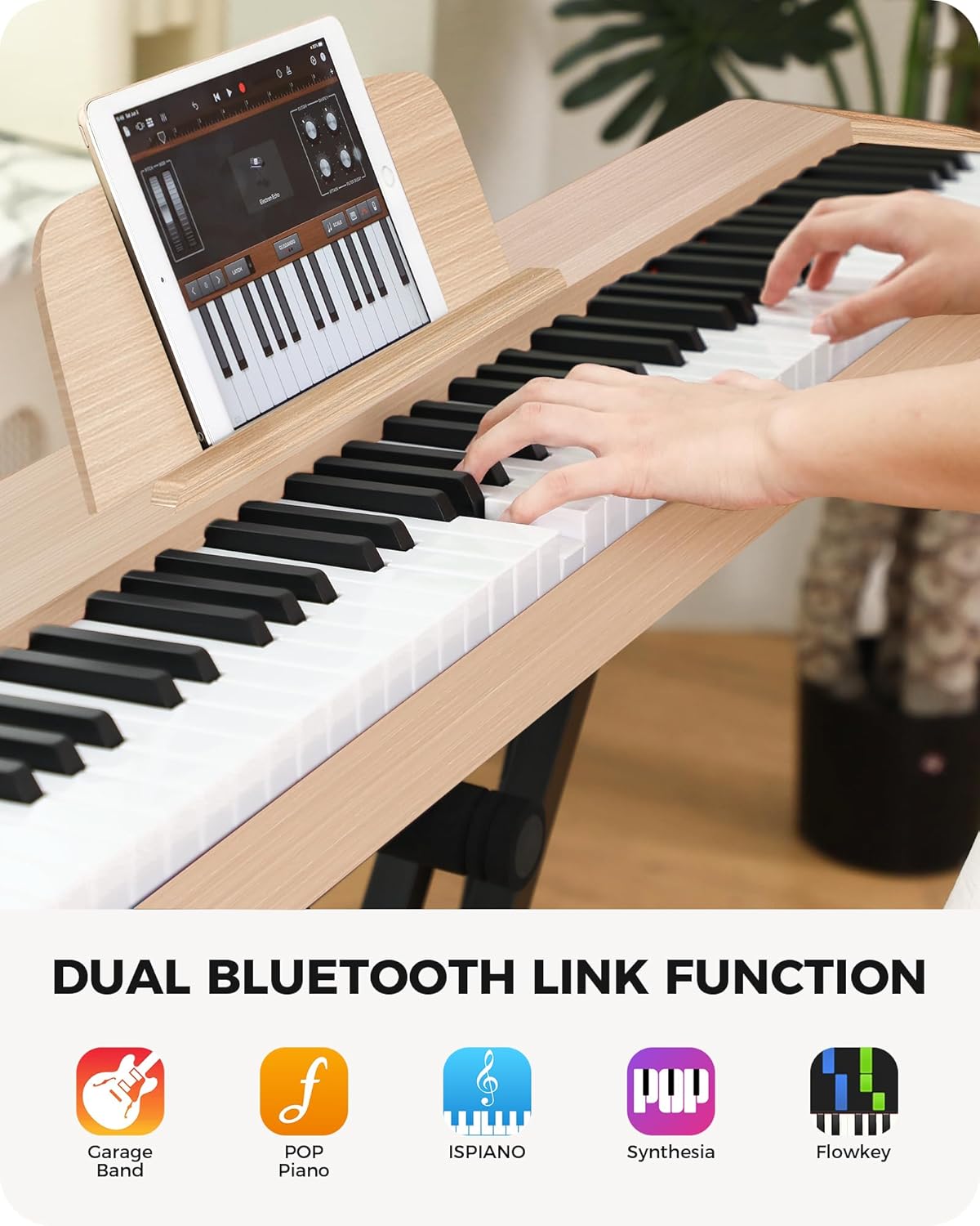 Fesley FEP300 Weighted Piano Keyboard