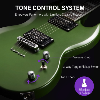 Fesley FSG350 Electric Guitar