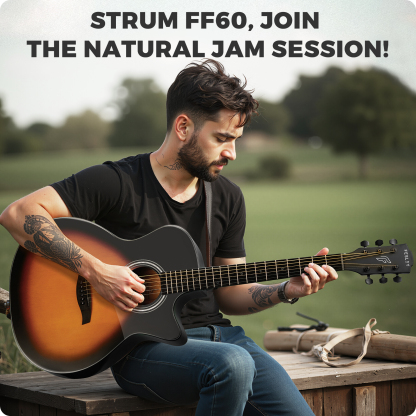 Fesley FF60 Acoustic Guitar Kit