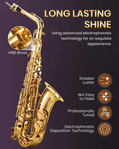 Fesley Saxophone E Flat Alto Saxophone