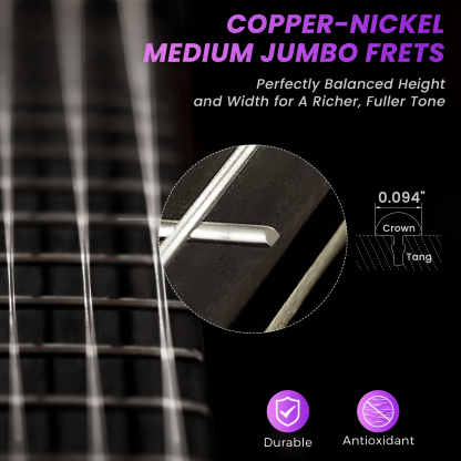 Fesley FDK800 Electric Guitar