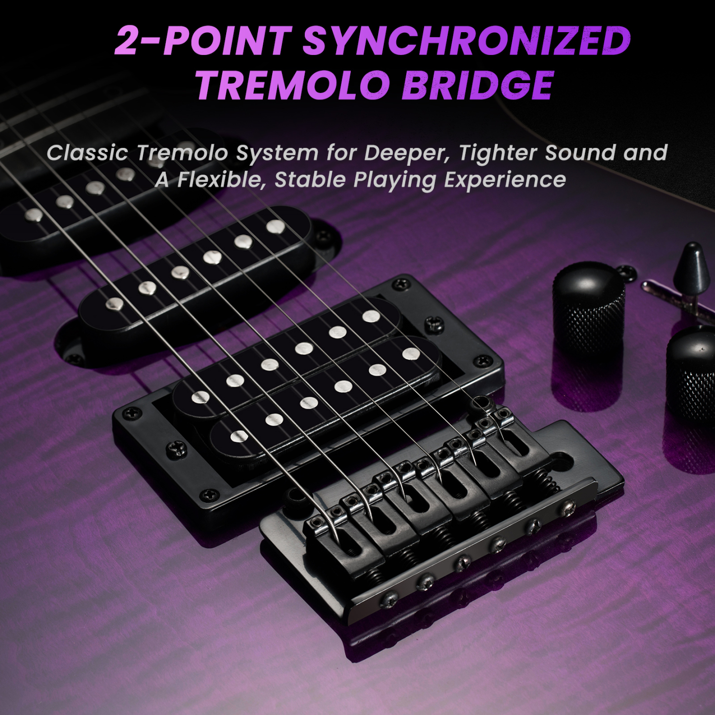 Fesley FDK800 Electric Guitar