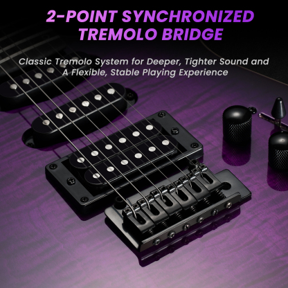 Fesley FDK800 Electric Guitar