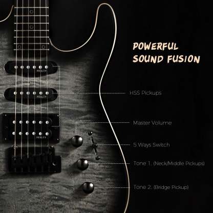 Fesley FDK800 Electric Guitar