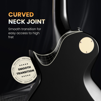 Fesley FLP900 LP Electric Guitar with Arched Top