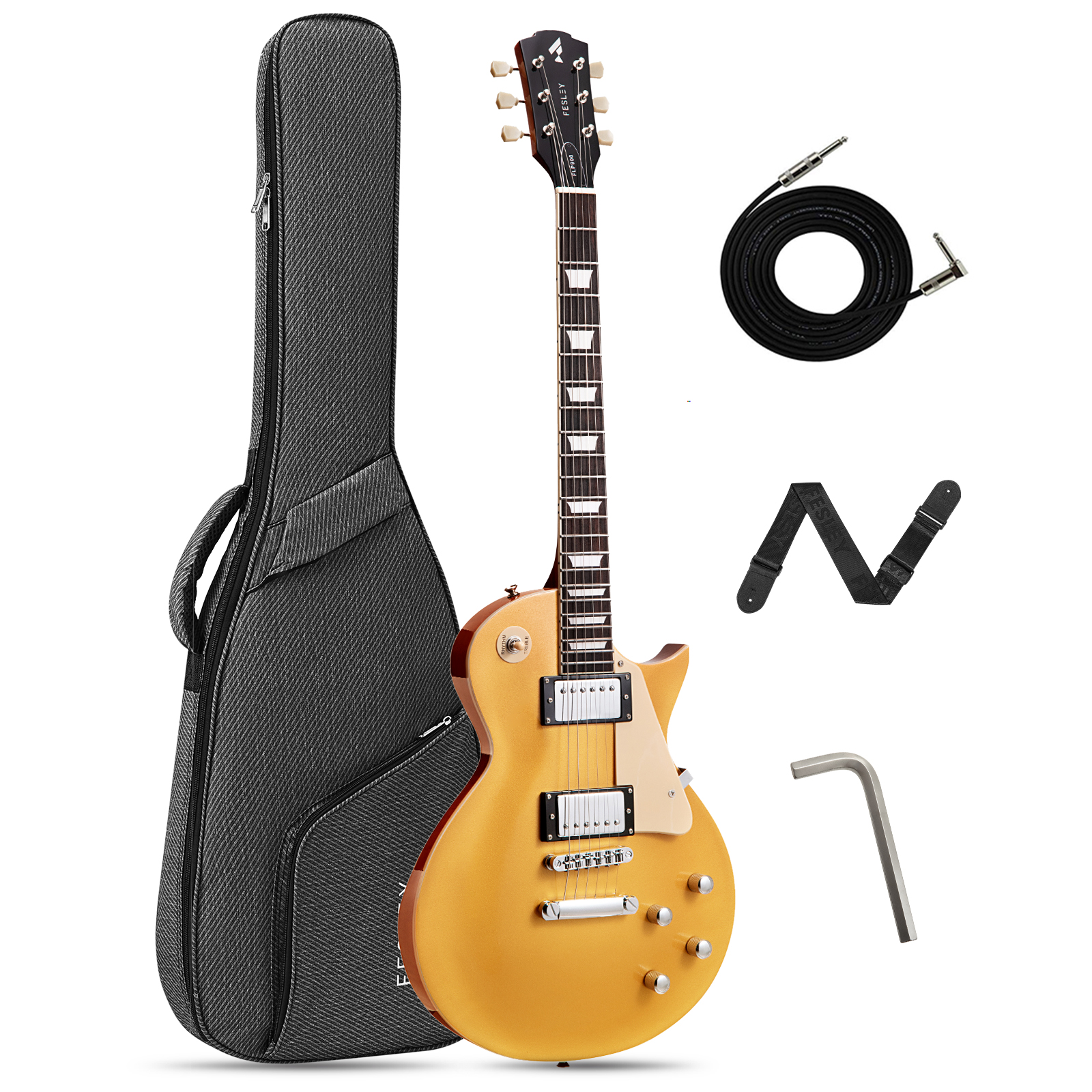 Fesley FLP900 LP Electric Guitar with Arched Top