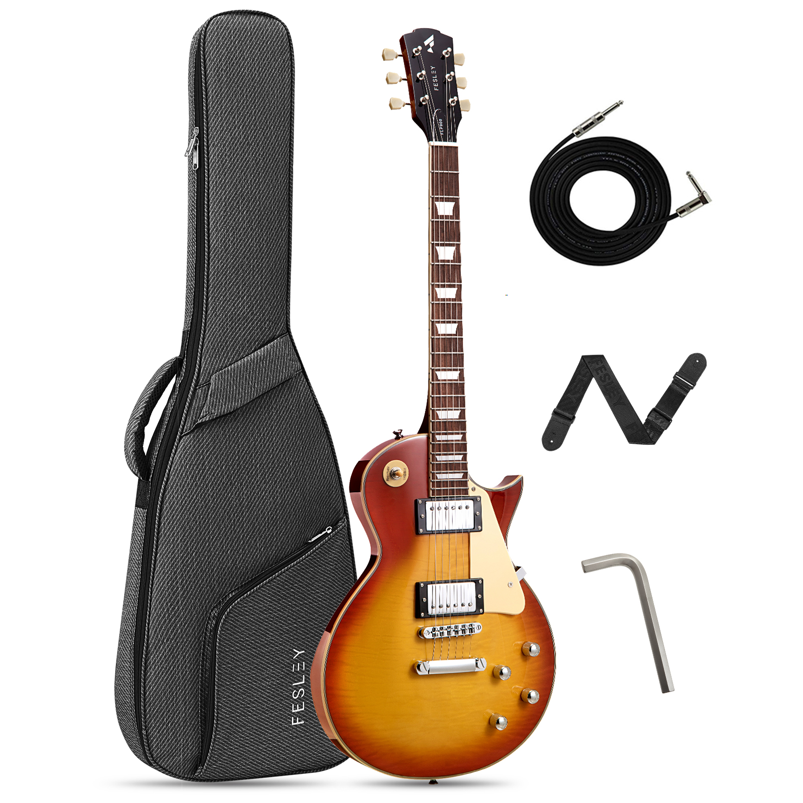 Fesley FLP900 LP Electric Guitar with Arched Top