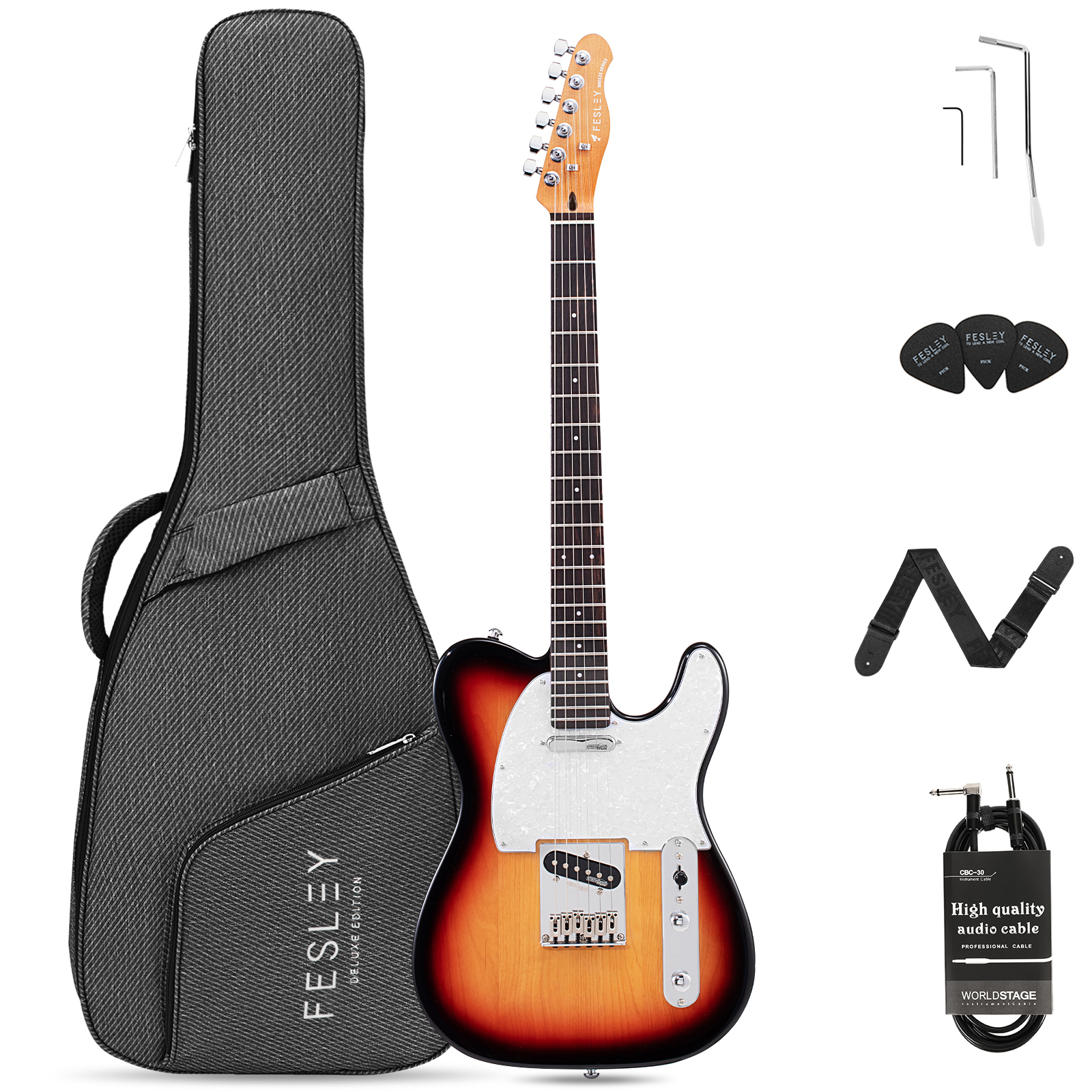 Fesley FTC1000 39" TL Style Electric Guitar