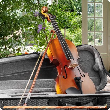 Fesley Violin 1/4 Fiddle Beginner Set