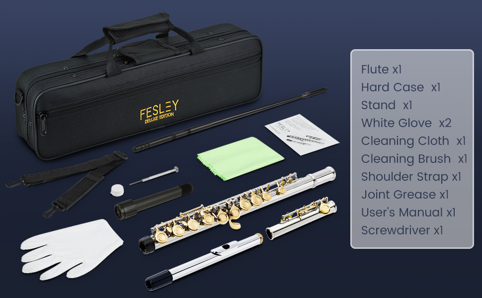 Fesley 16 Keys C Flutes Closed Hole – Fesleymusic
