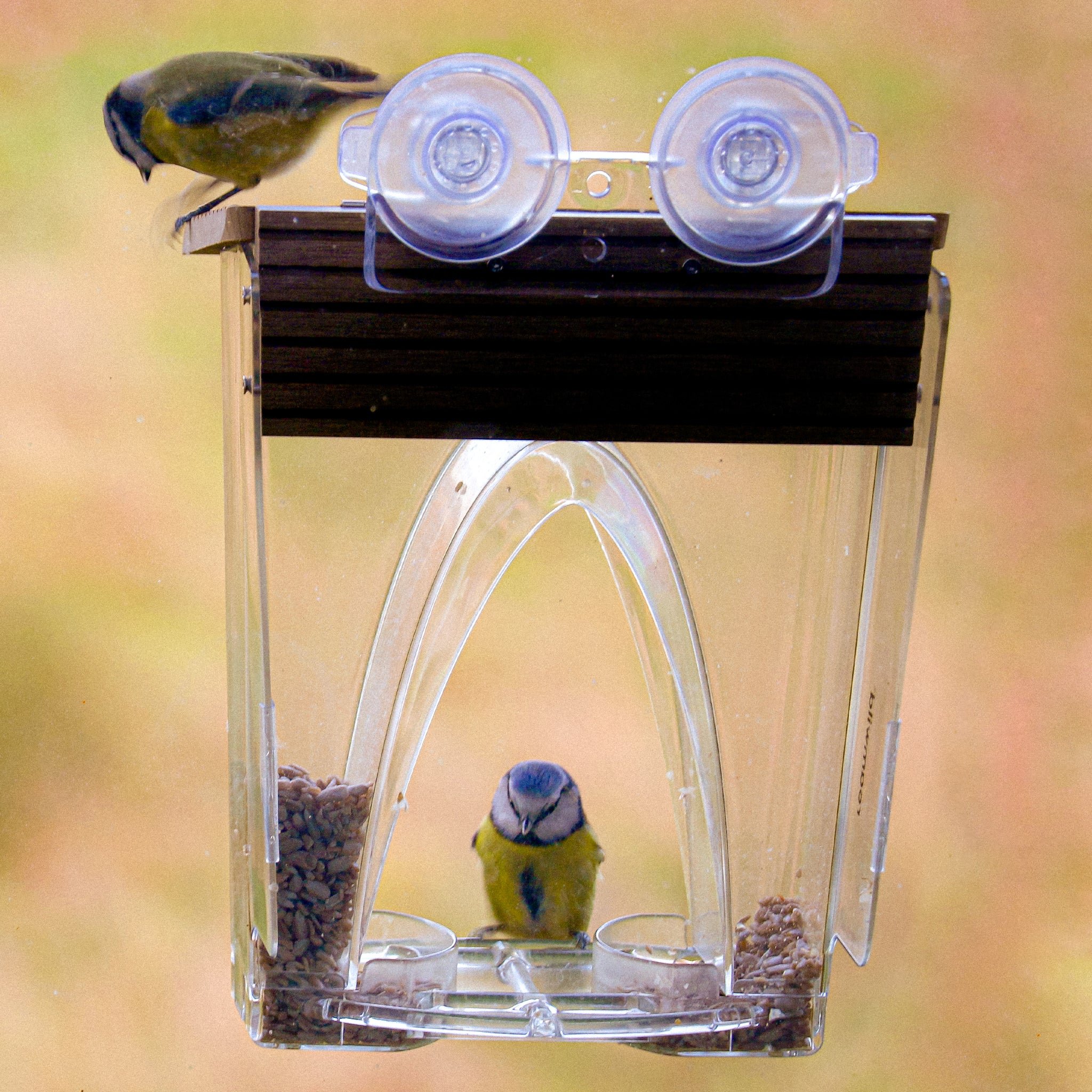 2024 Hot Sale- 🐦Herethan Arch Window Bird Feeder