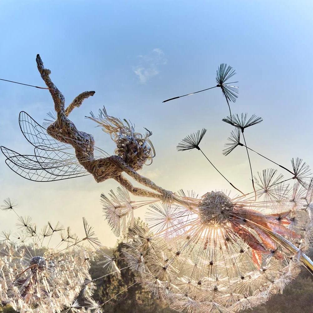 🧚‍♀Wonderland-like garden decoration🧚‍♀