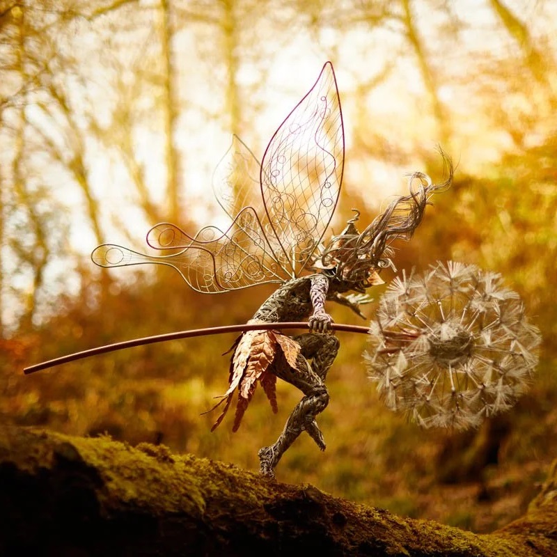 🧚‍♀Wonderland-like garden decoration🧚‍♀