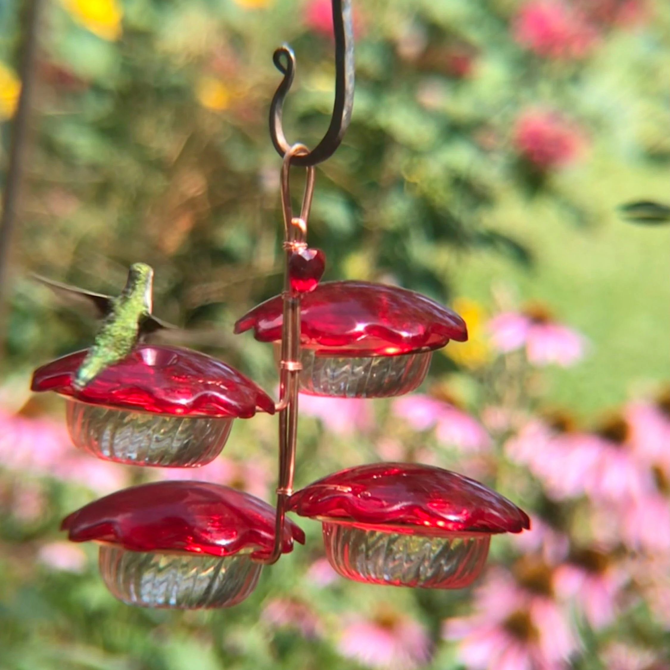 Hummingbird Petal Feeder