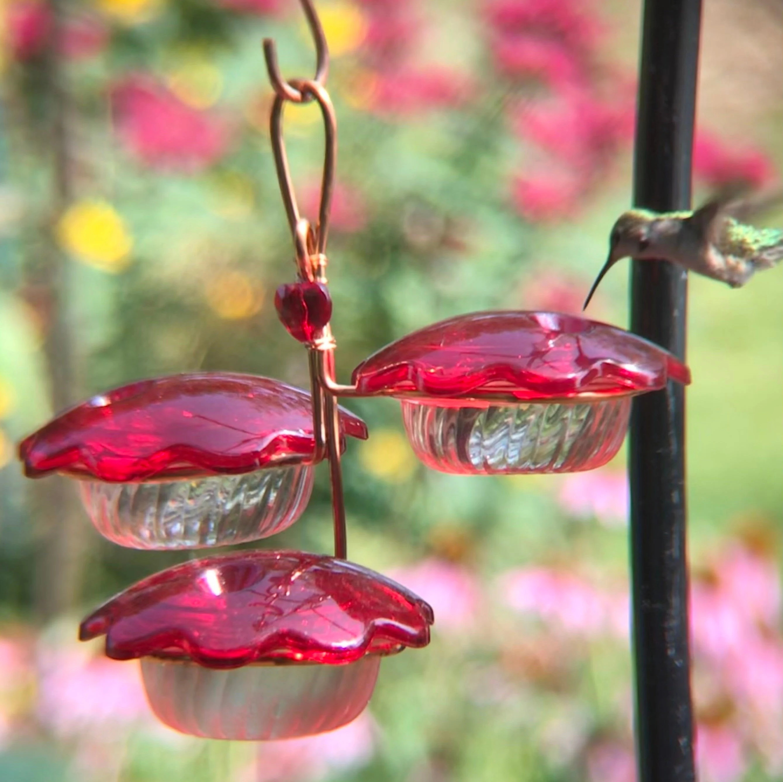 Hummingbird Petal Feeder