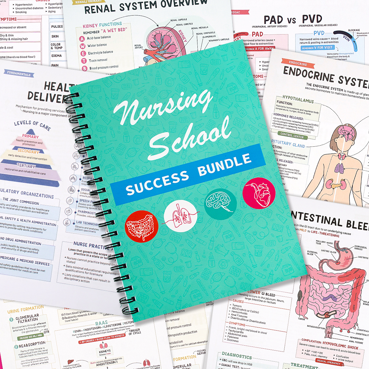 Nursing School Success Bundle | Spiral Bound (Buy 2 Free Shipping)