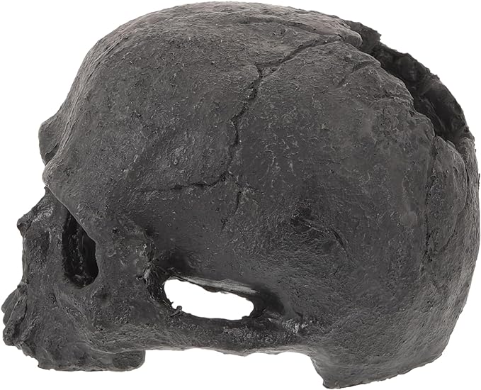 Qingquyy halloween decorations Fish Hideaway Fish Tank Hiding Cave Decorative Skull Ornament Underwater Decor Fish Tank Landscape Decor Fish Hide Ornament aquarium resin skull hole