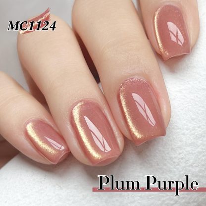 Dual Rhythm Cat Eye Gel Nail Polish Shimmer Glitter Powder with Magnet 9D Holographic Reflective Magnetic UV Nail Polish Set