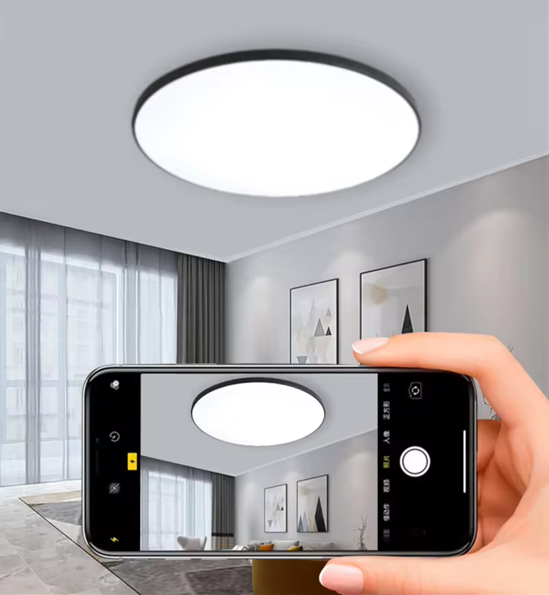 Nordic Style Ceiling Lamps Ultra-Thin LED Ceiling Lights 220V Surface Mounted 18W 24W Round Panel Light for Living Room Bedroom