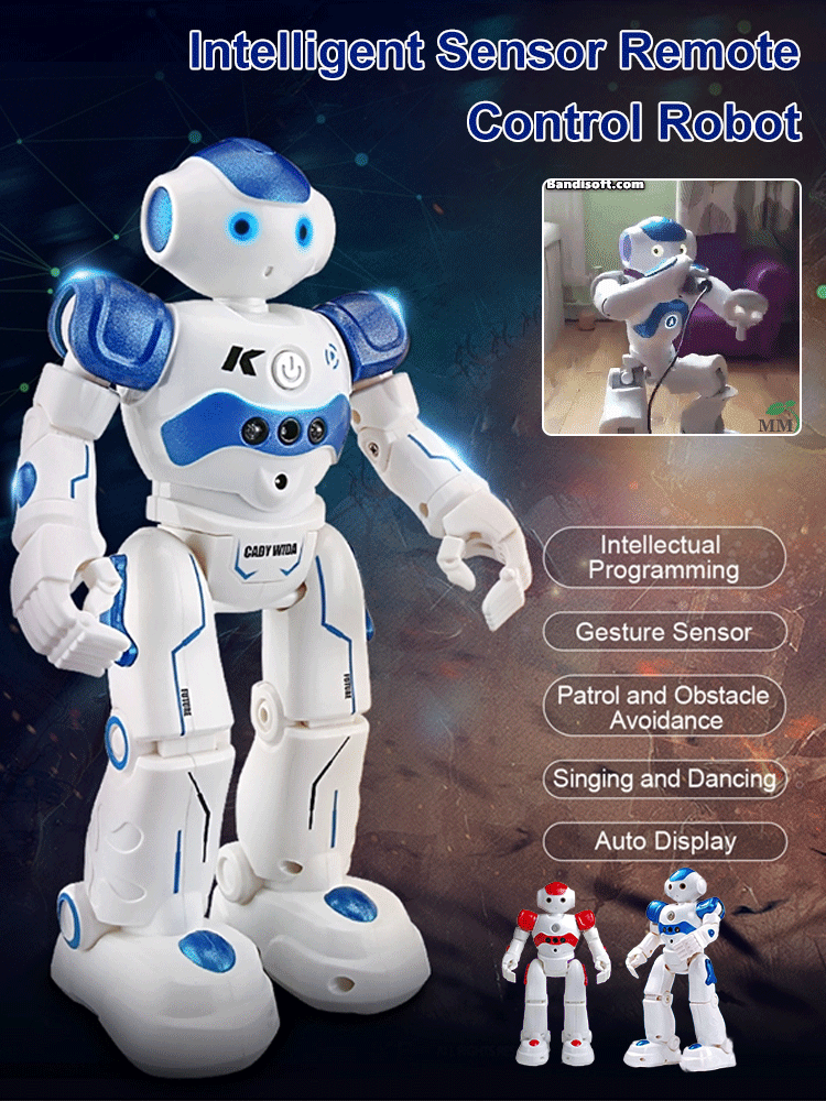 Smart Gesture Remote Control Toys