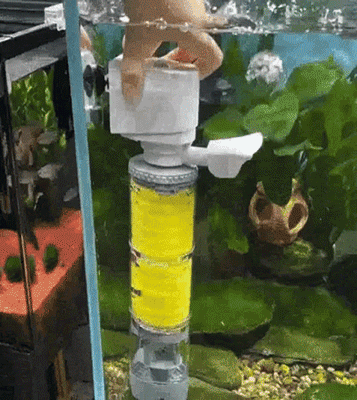 3 in 1 fish farming system with built in water purification and oxygen pump