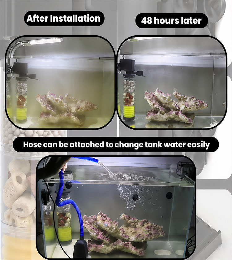 3 in 1 fish farming system with built in water purification and oxygen pump