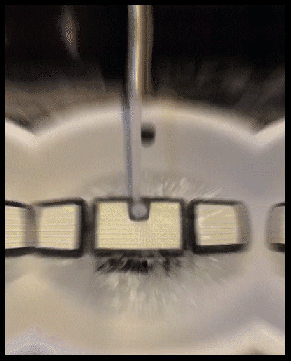 20241011_100846_112.gif