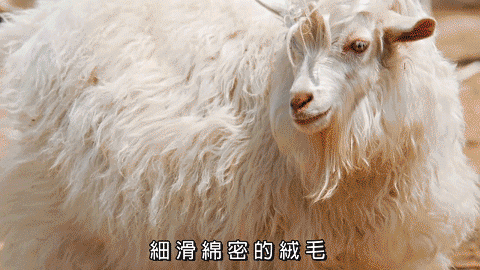 1602316187509318.gif