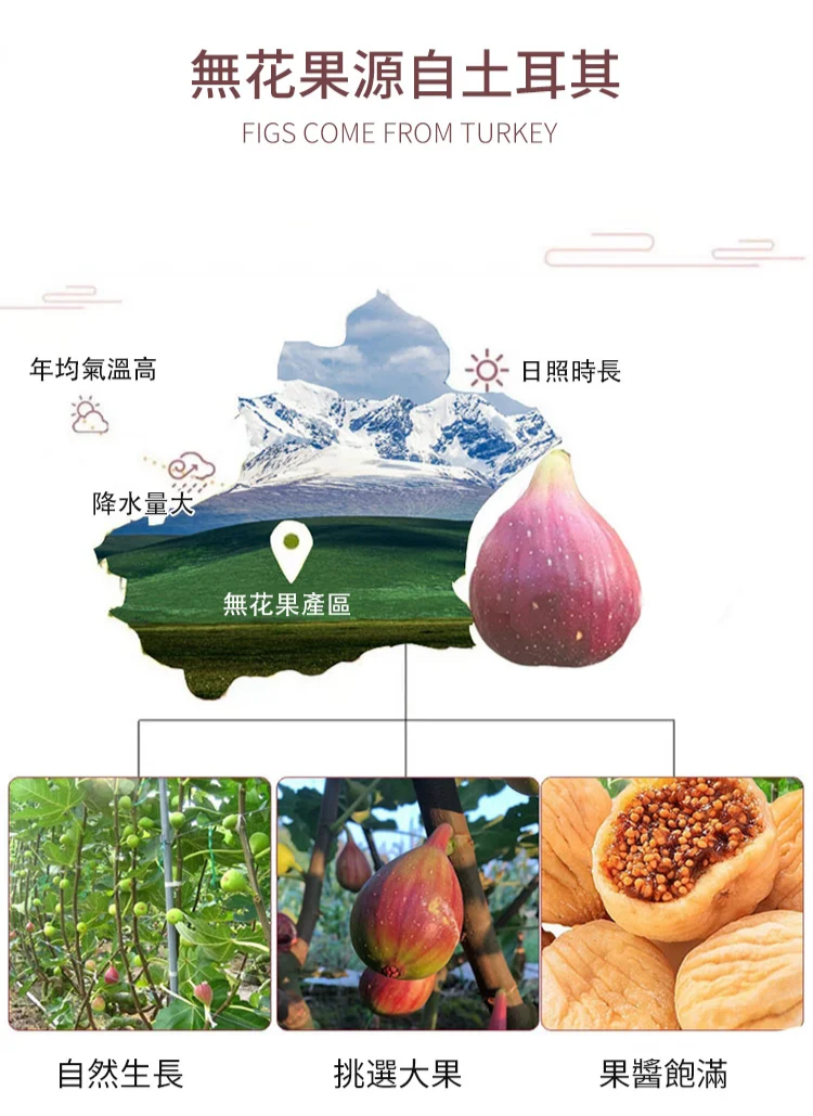 bdb808b8cd4e7fffc26713fa61460db3.webp