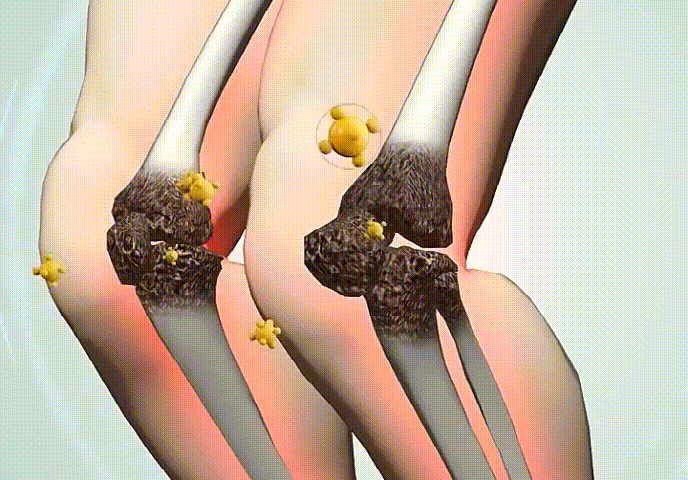 天麻杜仲葉平臥菊三七片 天麻杜仲葉平臥菊三七片