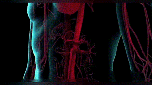 df8adc5c4dfd62d372465ef4804a4a1e.gif