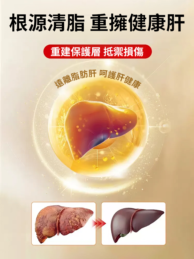 李時珍天天清護肝茶