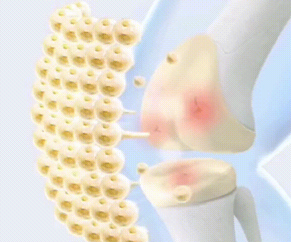 天麻杜仲葉平臥菊三七片 天麻杜仲葉平臥菊三七片