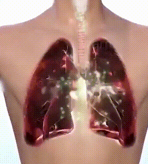d90b866f-0817-4a68-b020-2790db4acb7e.gif