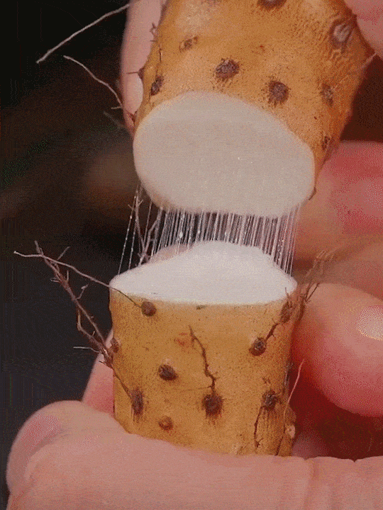 3363061ddbe5c50fc9ec2d5ca29bfc3d.gif