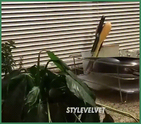 1-(3).gif