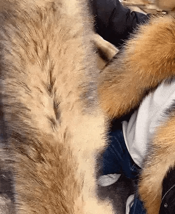 04.gif