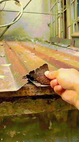 翻译件-SL-【长效防腐】铁锈转化剂-1176680-系统_21-1.gif