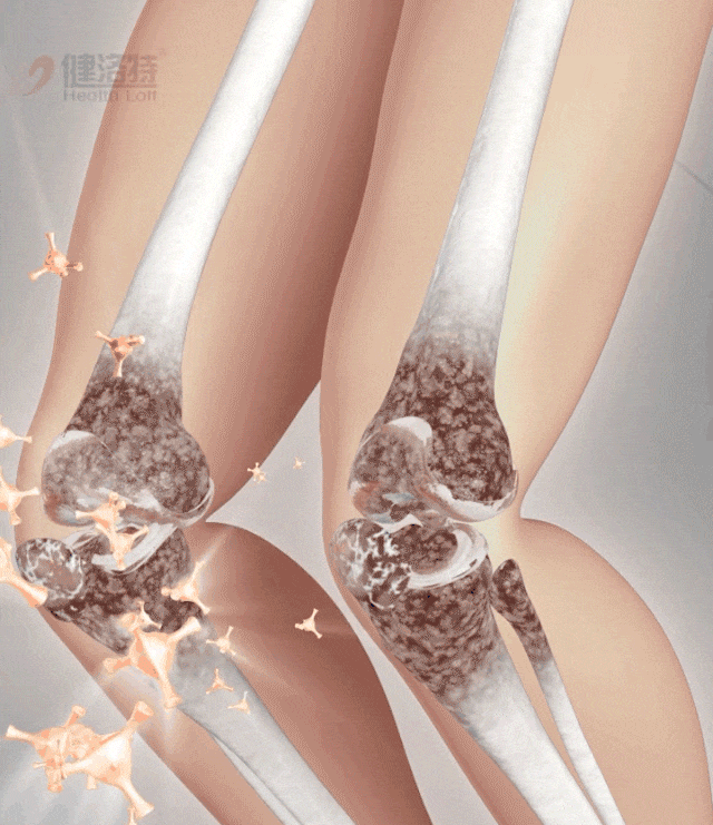 天麻杜仲葉平臥菊三七片 天麻杜仲葉平臥菊三七片