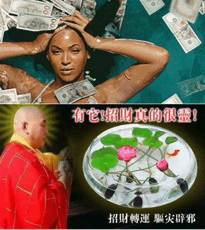 【轉運招財】觀賞水培碗蓮