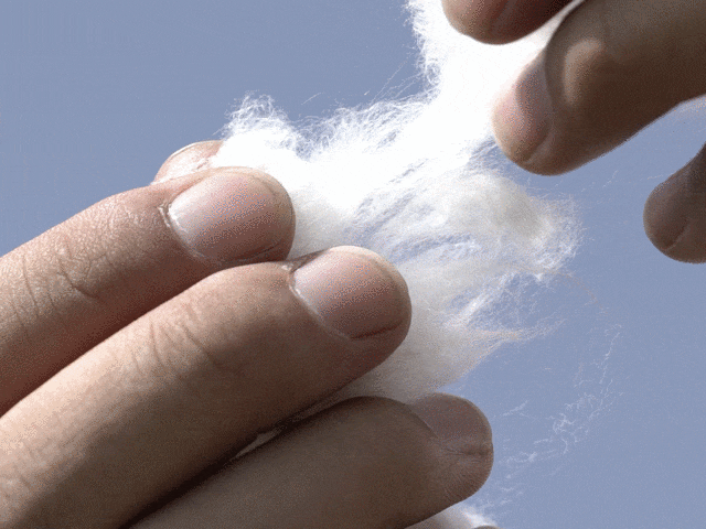 645b18c3d3ef5a6e8e0c3fa0e6e3a95f.gif