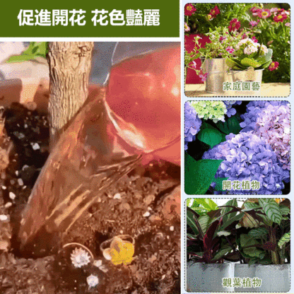 【崔蕾促花】快速開花粉