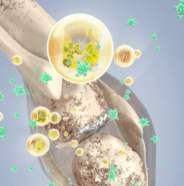 天麻杜仲葉平臥菊三七片 天麻杜仲葉平臥菊三七片