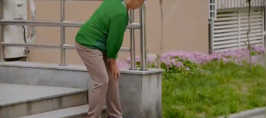 天麻杜仲葉平臥菊三七片