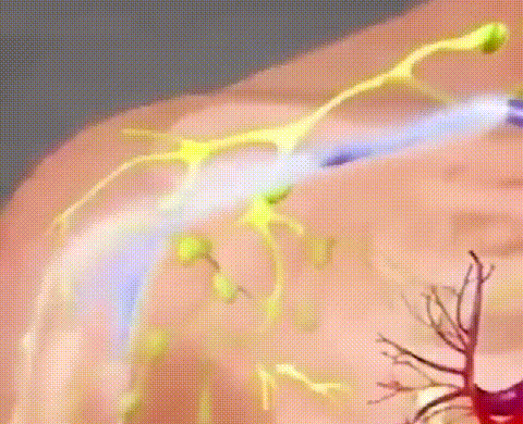 153603750c98269b68d971f372a17528.gif