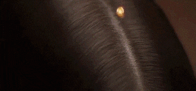 f9088a3e601cba71f009ffcc06c7d5bc7111277121005466589EN2027b8f01e1ceb0bad75384ffea1c4adb.gif