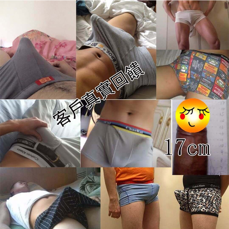 北京同仁堂補氣增強精力人參枸杞茶