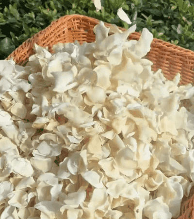 Honeycam 2025-04-19 16-55-29.gif