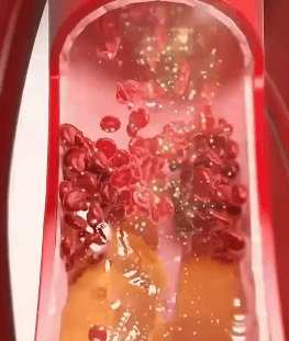 Honeycam 2025-12-04 17-31-21.gif